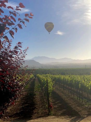 Image helper